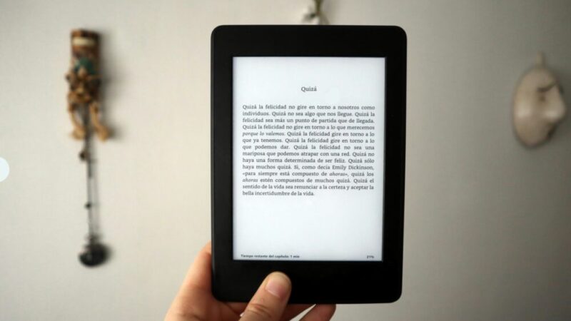 電子書籍はやめたほうがいい?デメリットと紙の本との違いを徹底比較